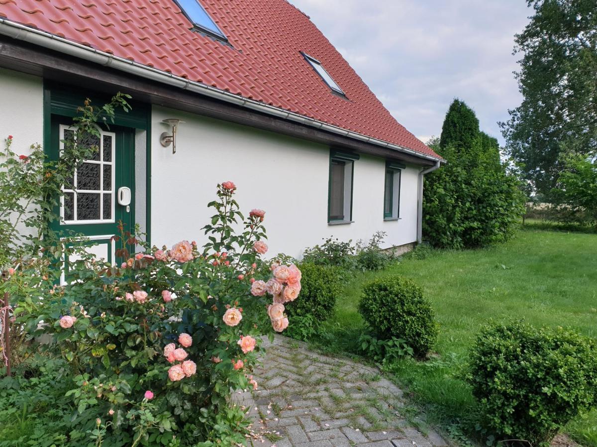 Oeko-Ferienhaus Rappin Exterior foto